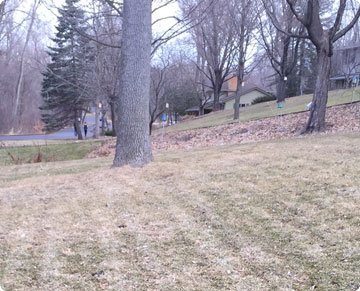 Spring Lawn Care Checklist for Minnesota | Rainbow Lawncare