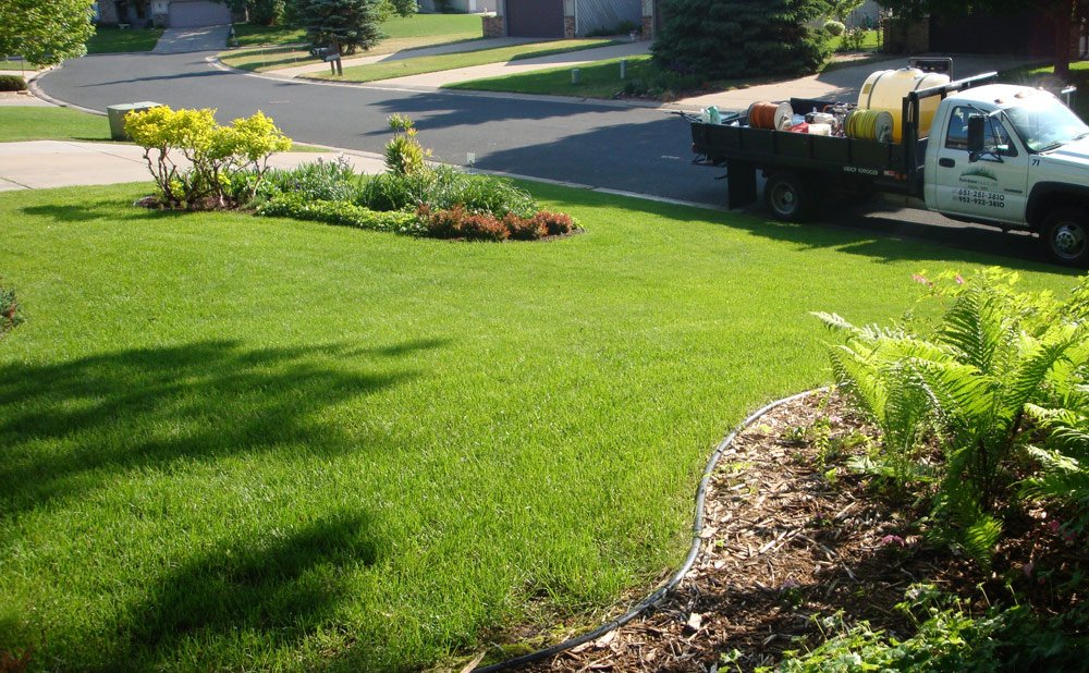 Standard Lawn Programs in Minneapolis Rainbow Lawncare