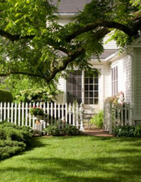 suburban home with white picket fence and manicured lawn with large shade tree