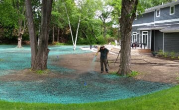 Hydroseeding Backyard