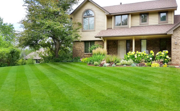 Best Practices for Mowing in Minnesota