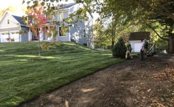 Rainbow Sod Service