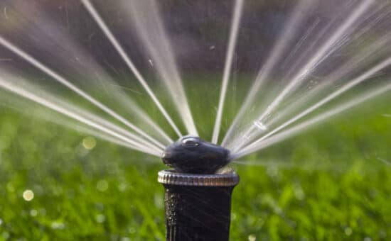 Watering your lawn