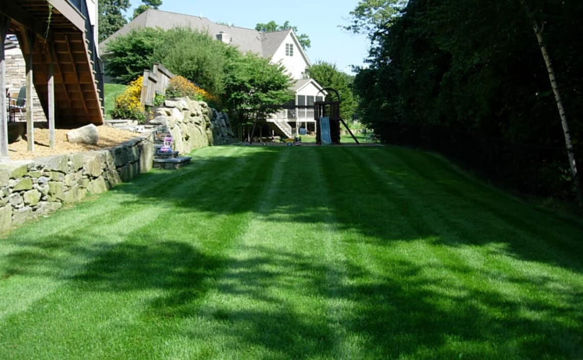 a nice green lawn next to suburban home on a sunny day