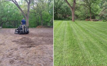 before and after picture of lawn restoration service with hydroseeding results, left showing bare soil and right showing lush green grass