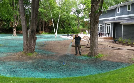 blue green hydroseeding application being sprayed on bare soil in backyard of residential home
