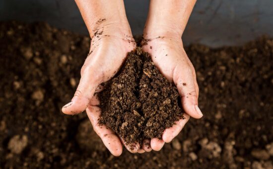 two hands cupped together holding rich organic soil