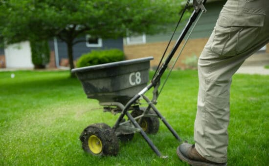 lawn seeding service being applied by walk behind overseeding equipment