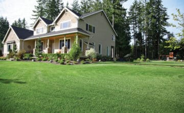 green lawn free of common weeds in front of suburban Minnesota home on a sunny day