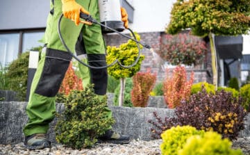 The Potential Benefits of Herbicides in Lawn and Garden Care