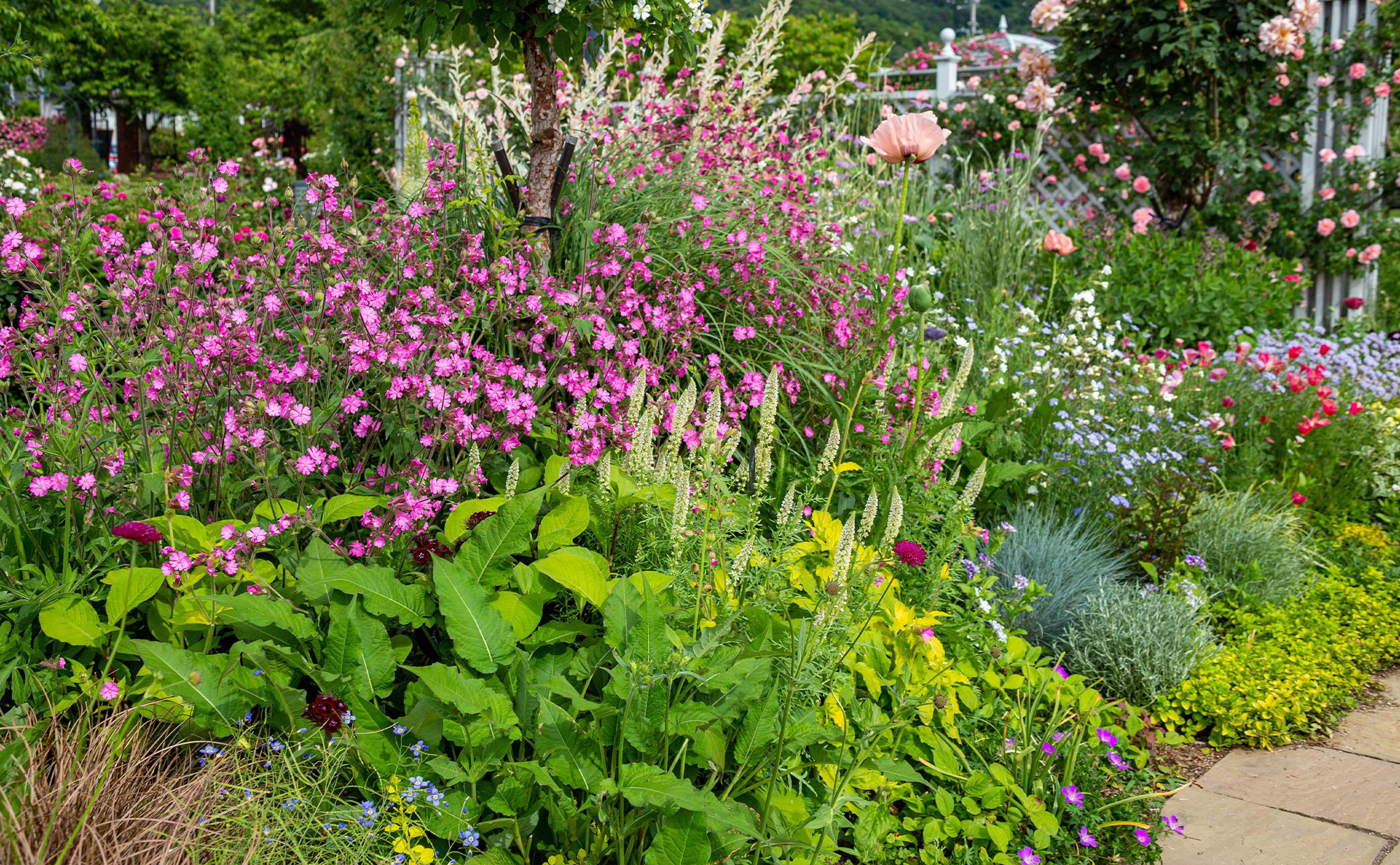 Sustainable, Low-Maintenance Landscapes