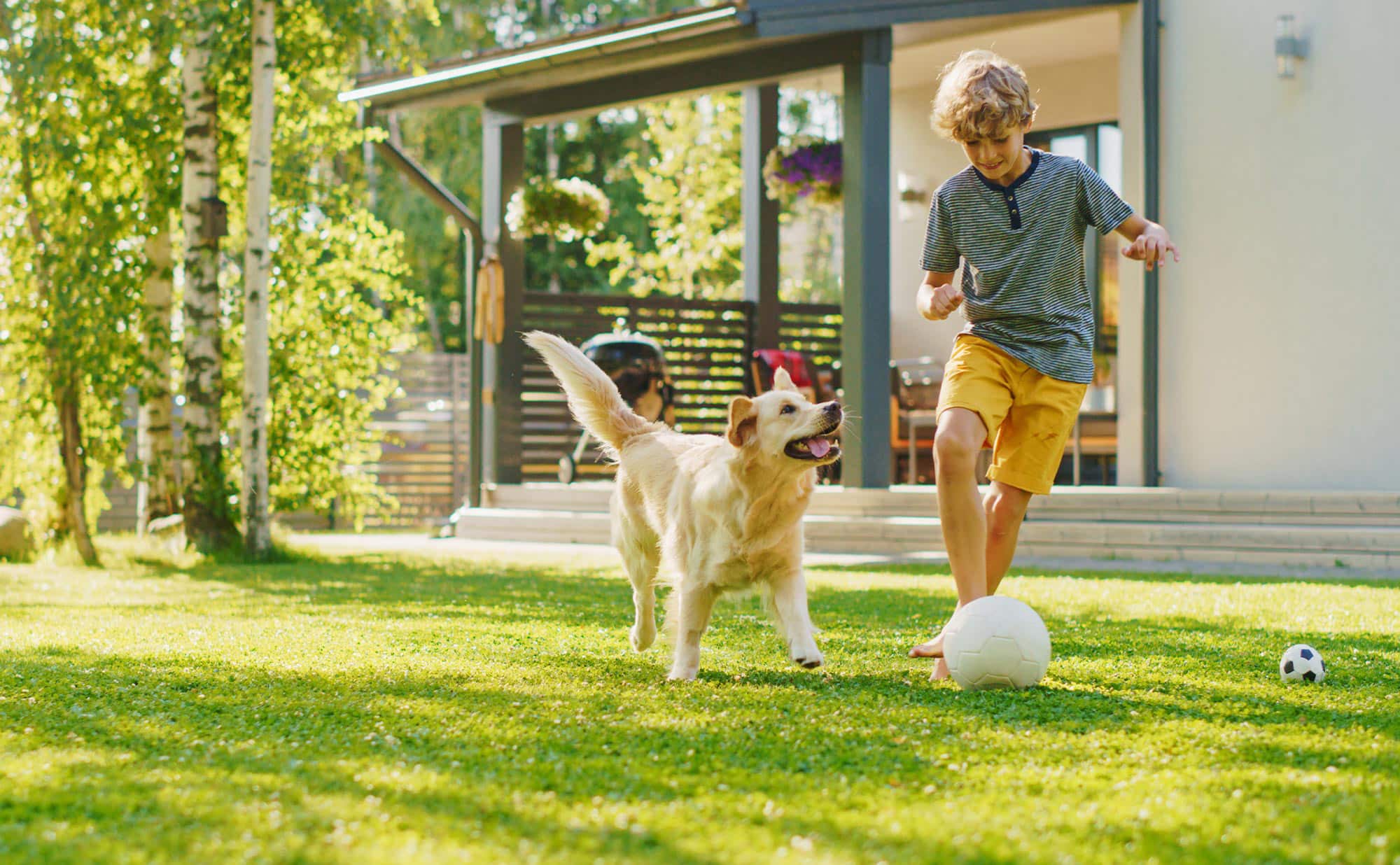 Pet- and Family-Friendly Design