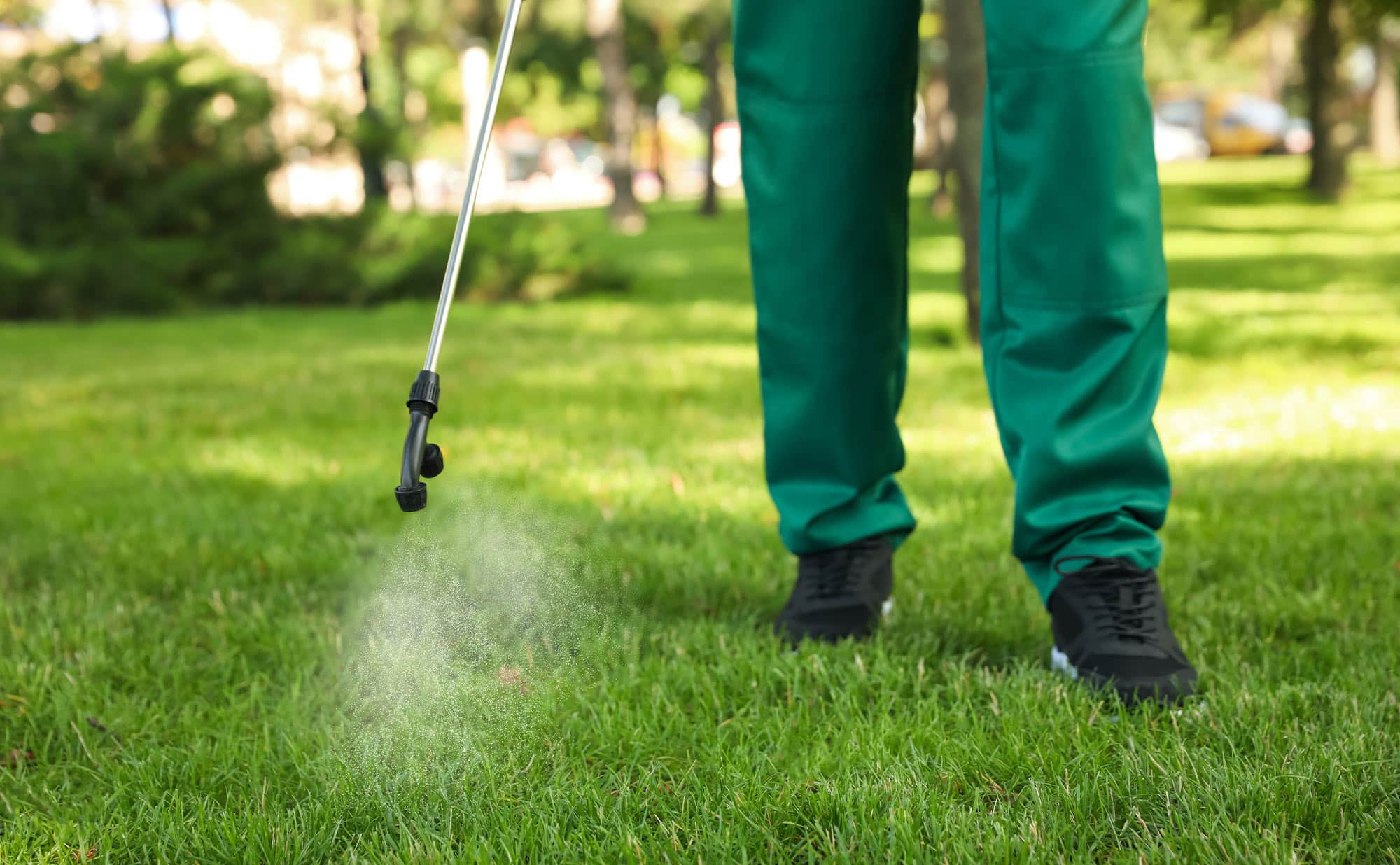 Understanding Pre-Emergent: Your First Line of Defense