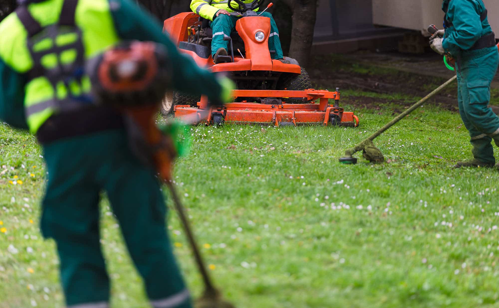 What Does a Comprehensive Lawn Plan Look Like?