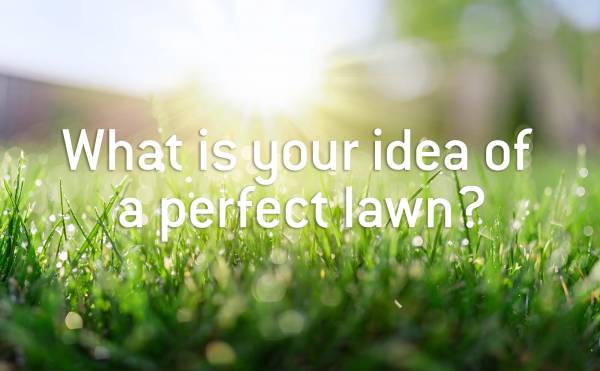 What is your idea of a perfect lawn?